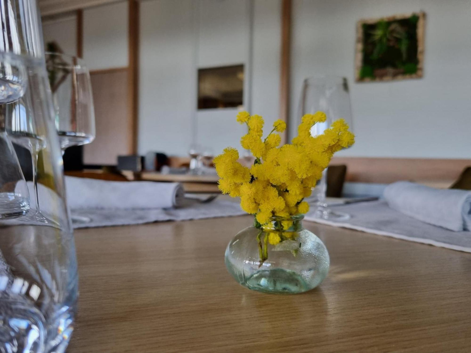 Logis Hotel Schaeffer- Restaurant Le Saint Georges Serrieres  Экстерьер фото